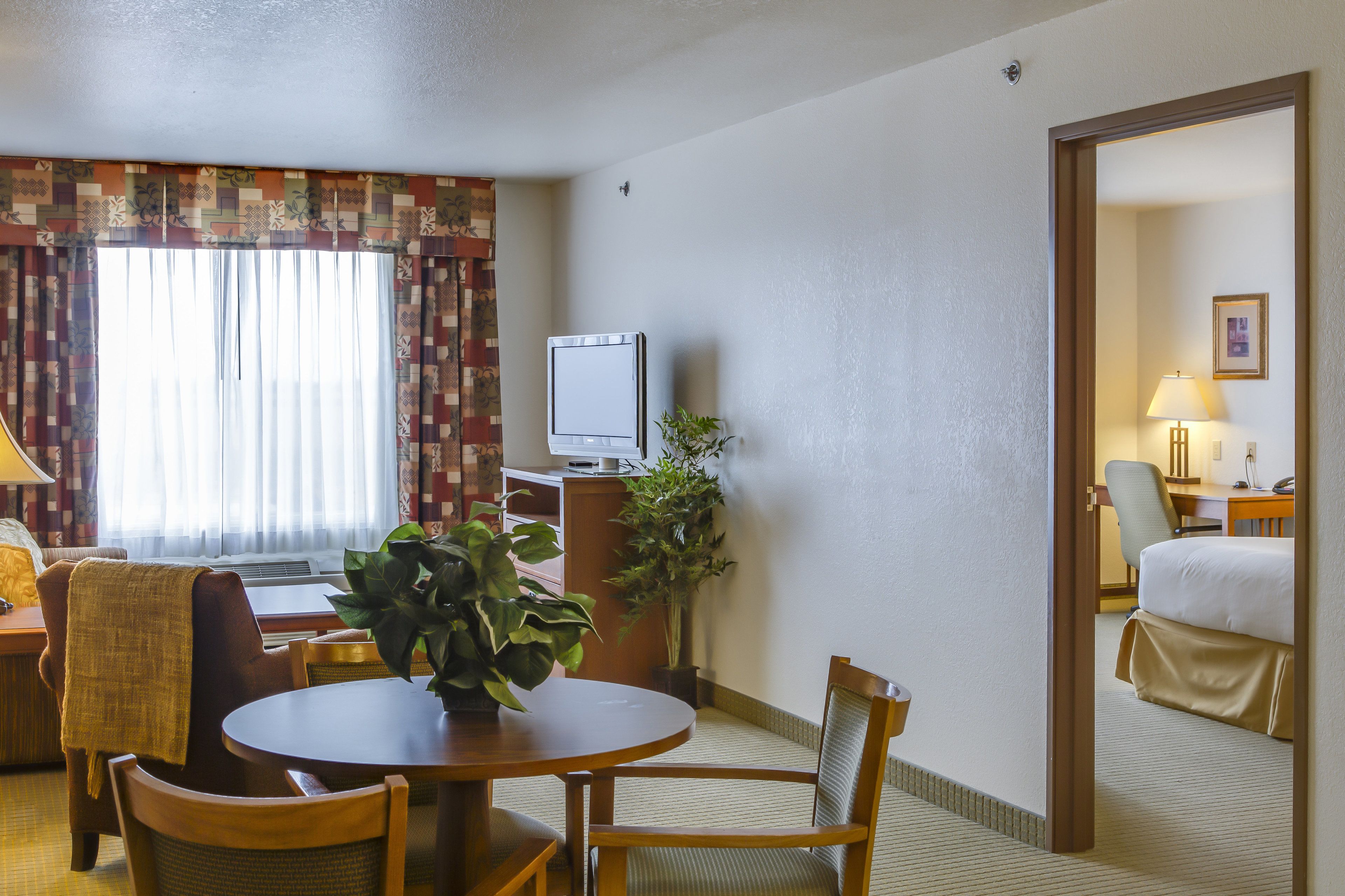 A hotel room with a dining area, a TV, a plant, and a bed.
