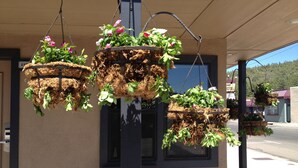 Hanging planters with flowers and plants in front of a building with a sign that reads "Grand Hotel". - Rodeway Inn & Suites Williams Downtowner - Rte 66 (Williams)