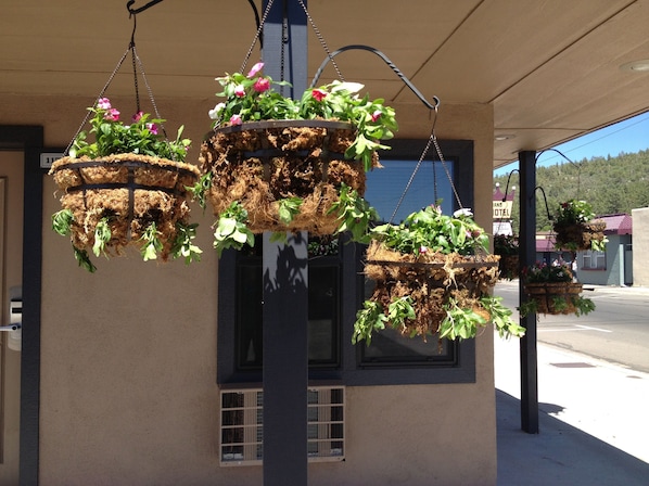 Hanging planters with flowers and plants in front of a building with a sign that reads "Grand Hotel". - Rodeway Inn & Suites Williams Downtowner - Rte 66 (Williams)