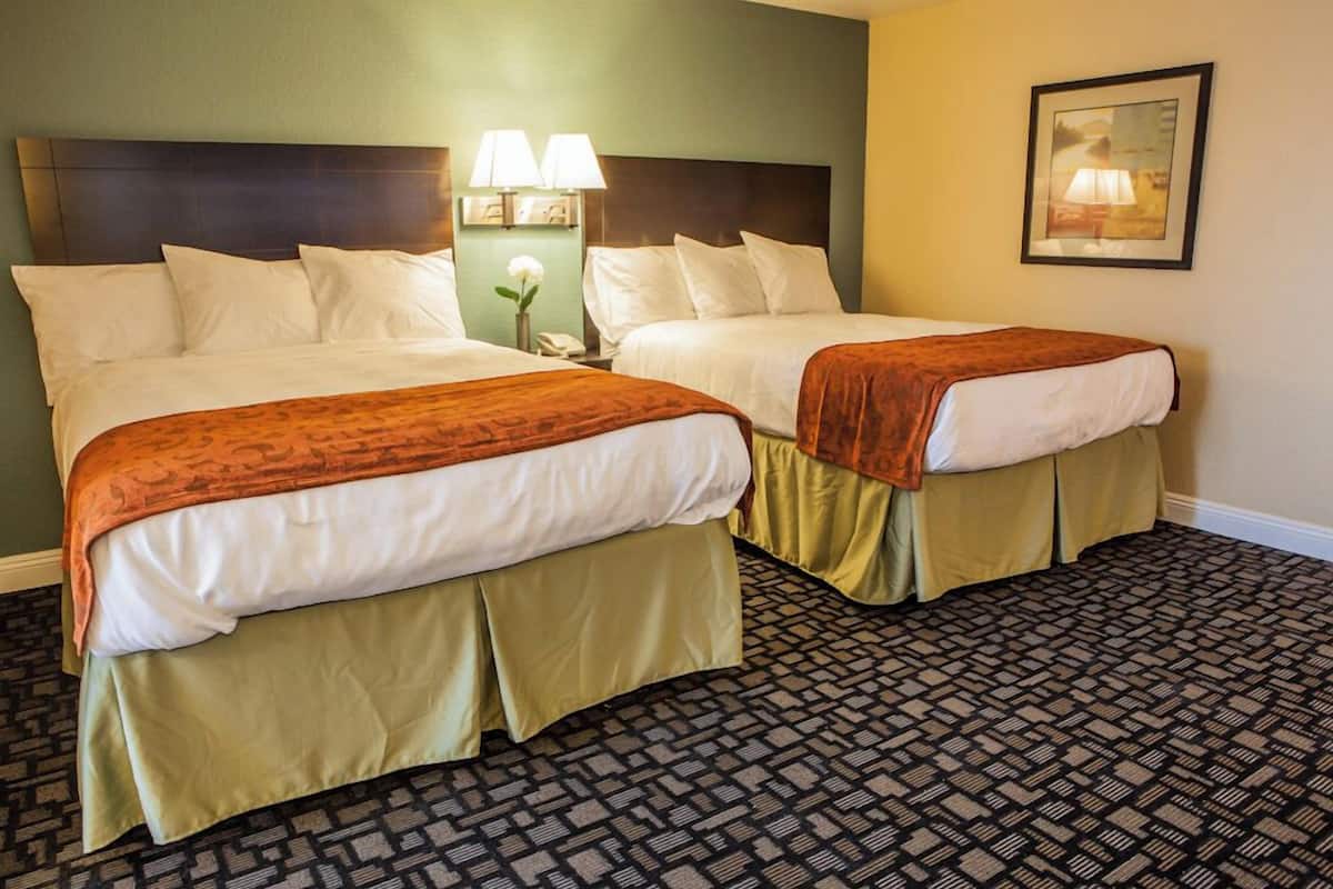 A hotel room with two beds, each with white linens and a brown throw blanket. There are two bedside lamps and a small vase with a flower on the nightstand. The room has a patterned carpet and a framed picture on the wall.