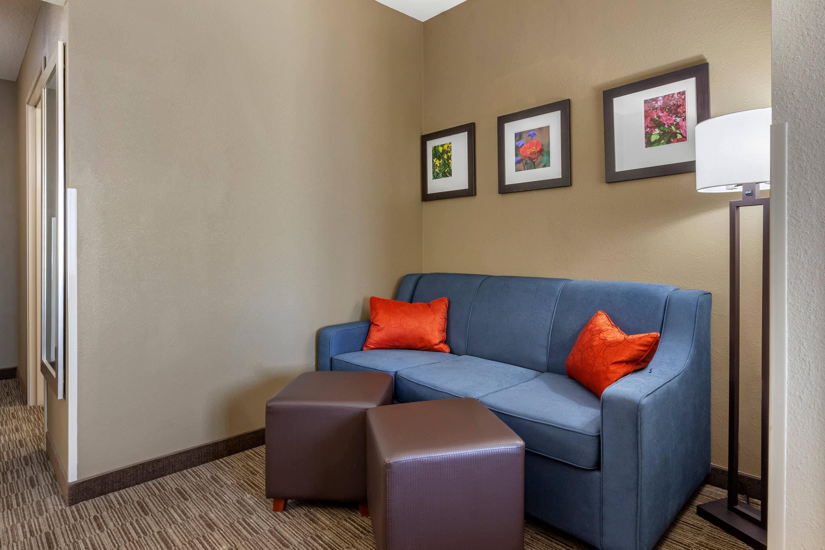 suite, 1 queen bed with sofa bed, non smoking | desk, blackout curtains, iron/ironing board, free wifi