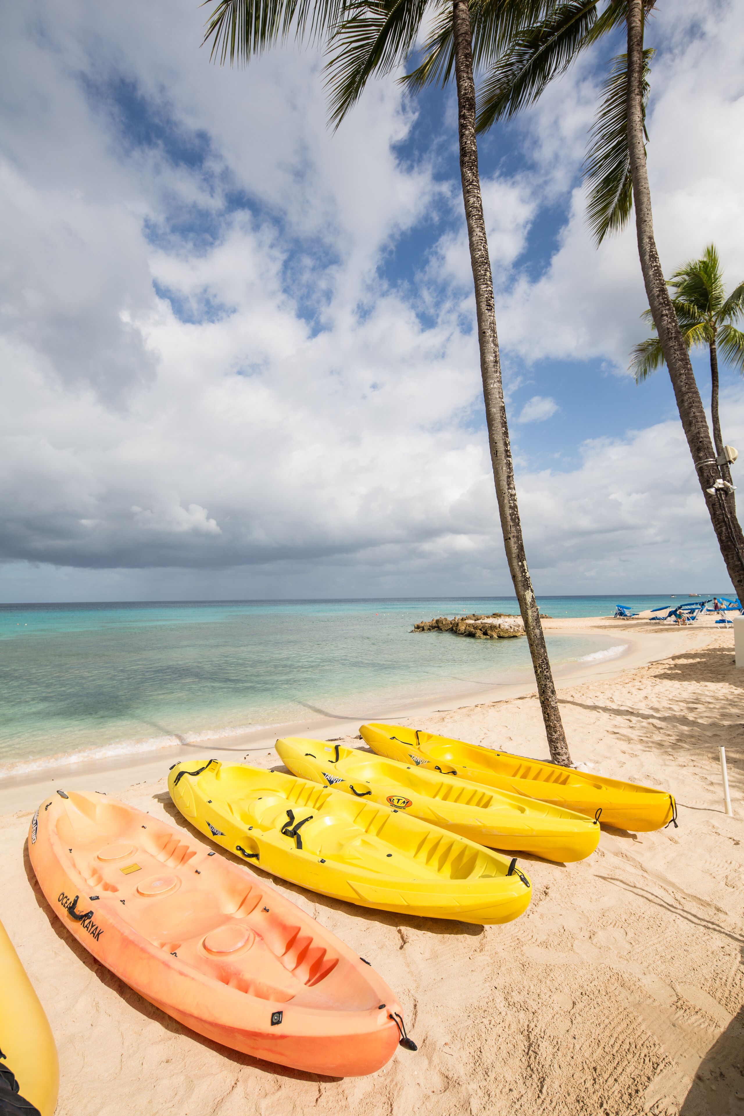 Kayaks lined up on a sandy beach with palm trees and a clear sky.