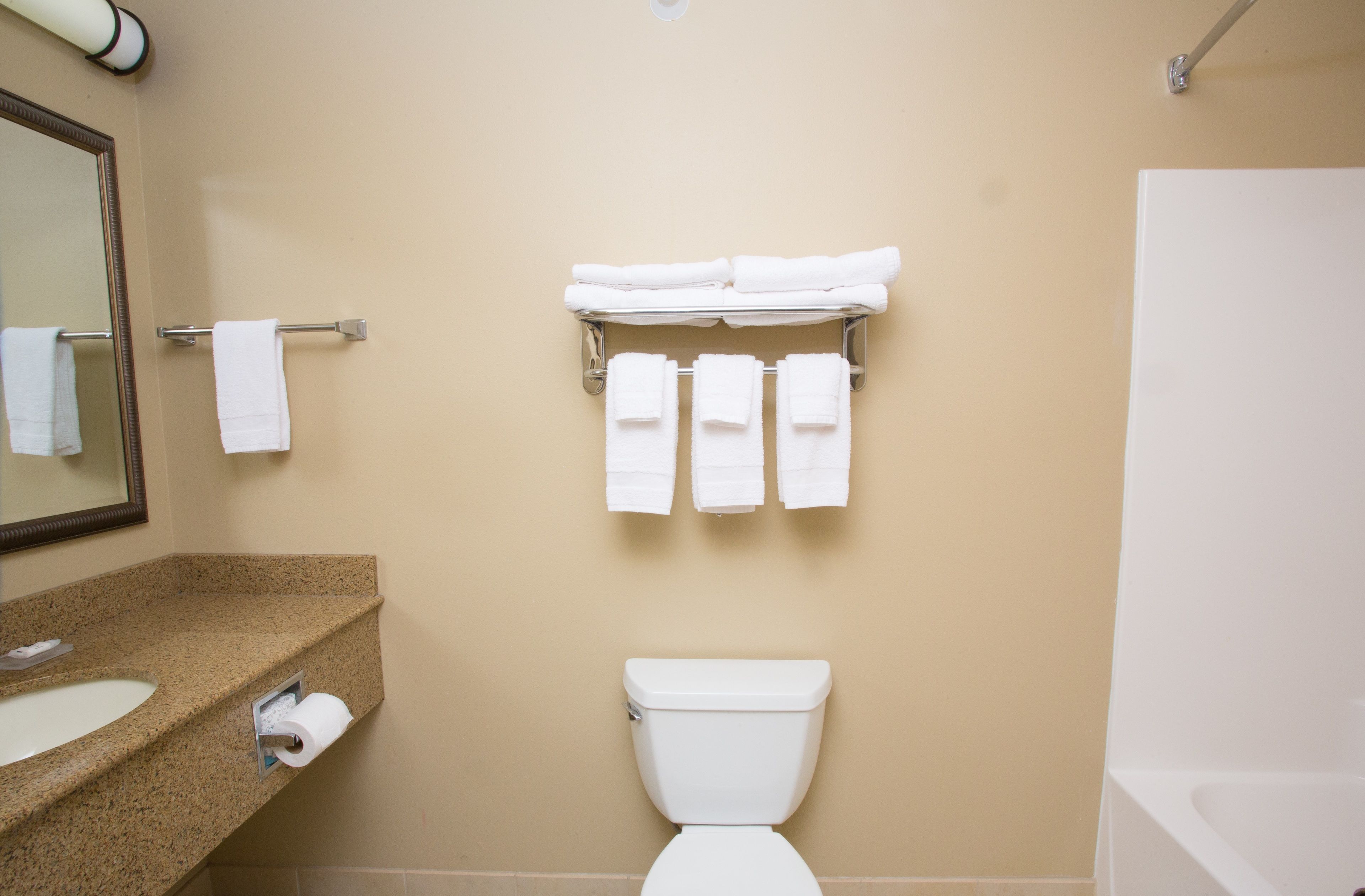 combined shower/bathtub, free toiletries, hair dryer, towels