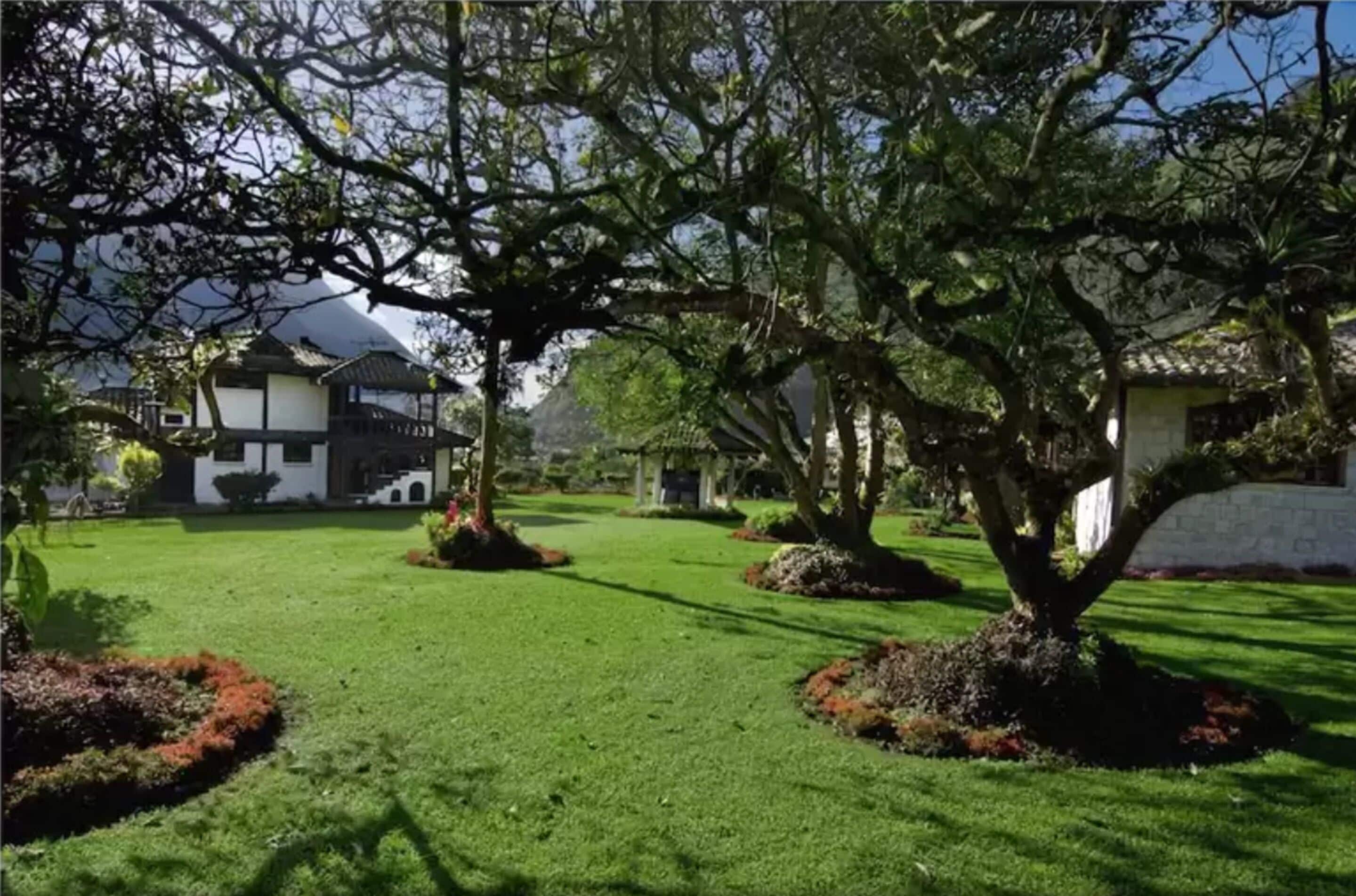 standard twin room | garden