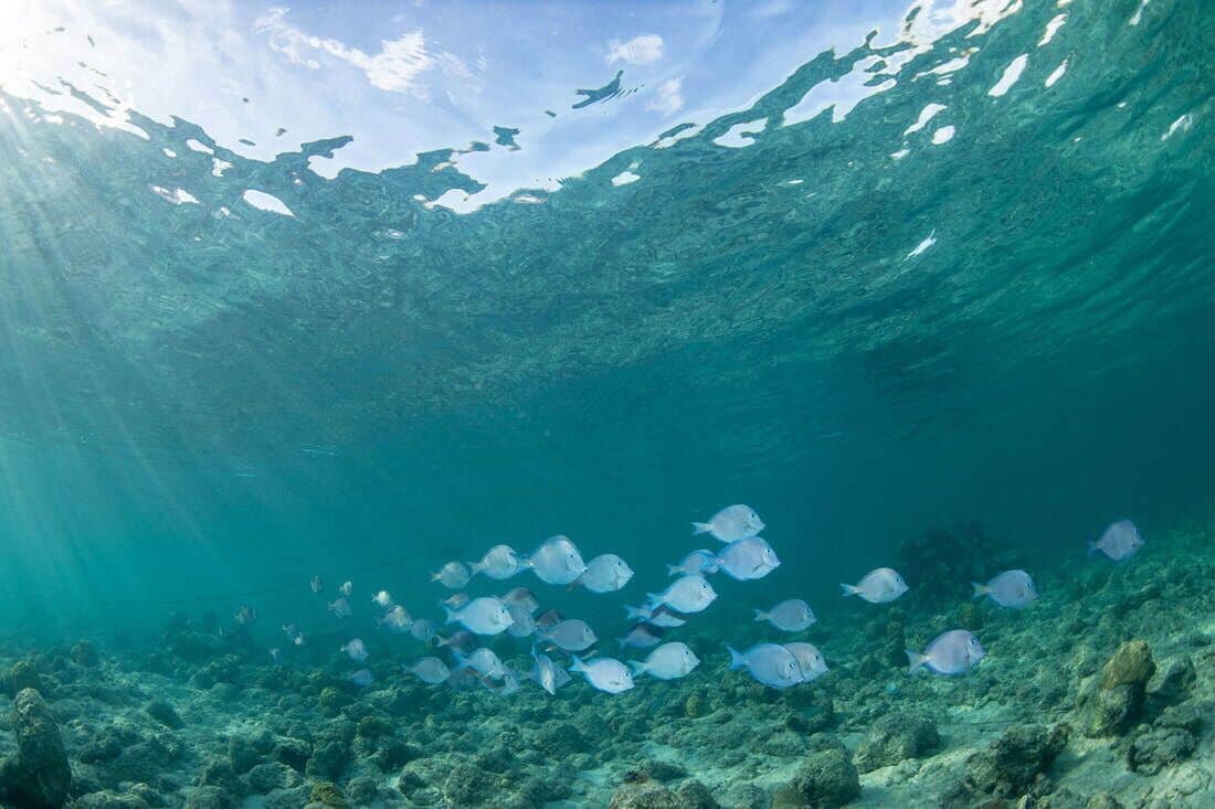 on the beach, white sand, sun-loungers, beach umbrellas