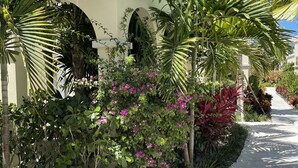 En sti kantet med frodigt grønt og blomstrende planter, der fører til en bygning med hvid facade og buer.