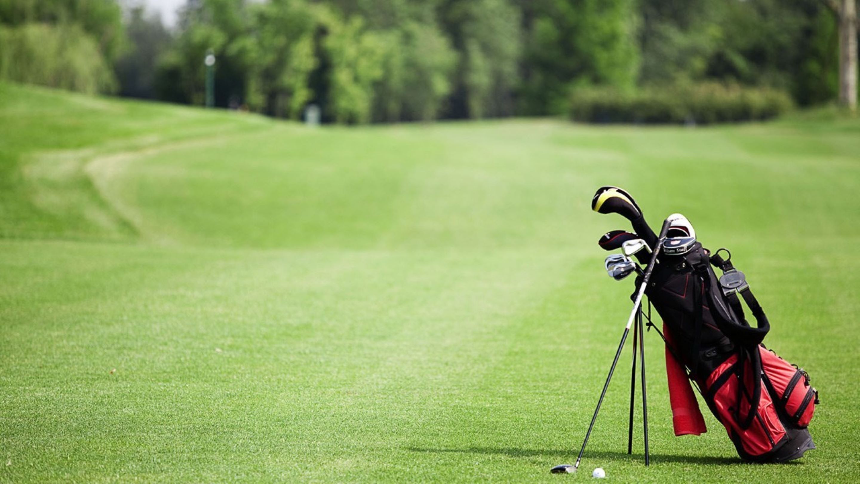 A golf bag with clubs on a green with a path in the background.