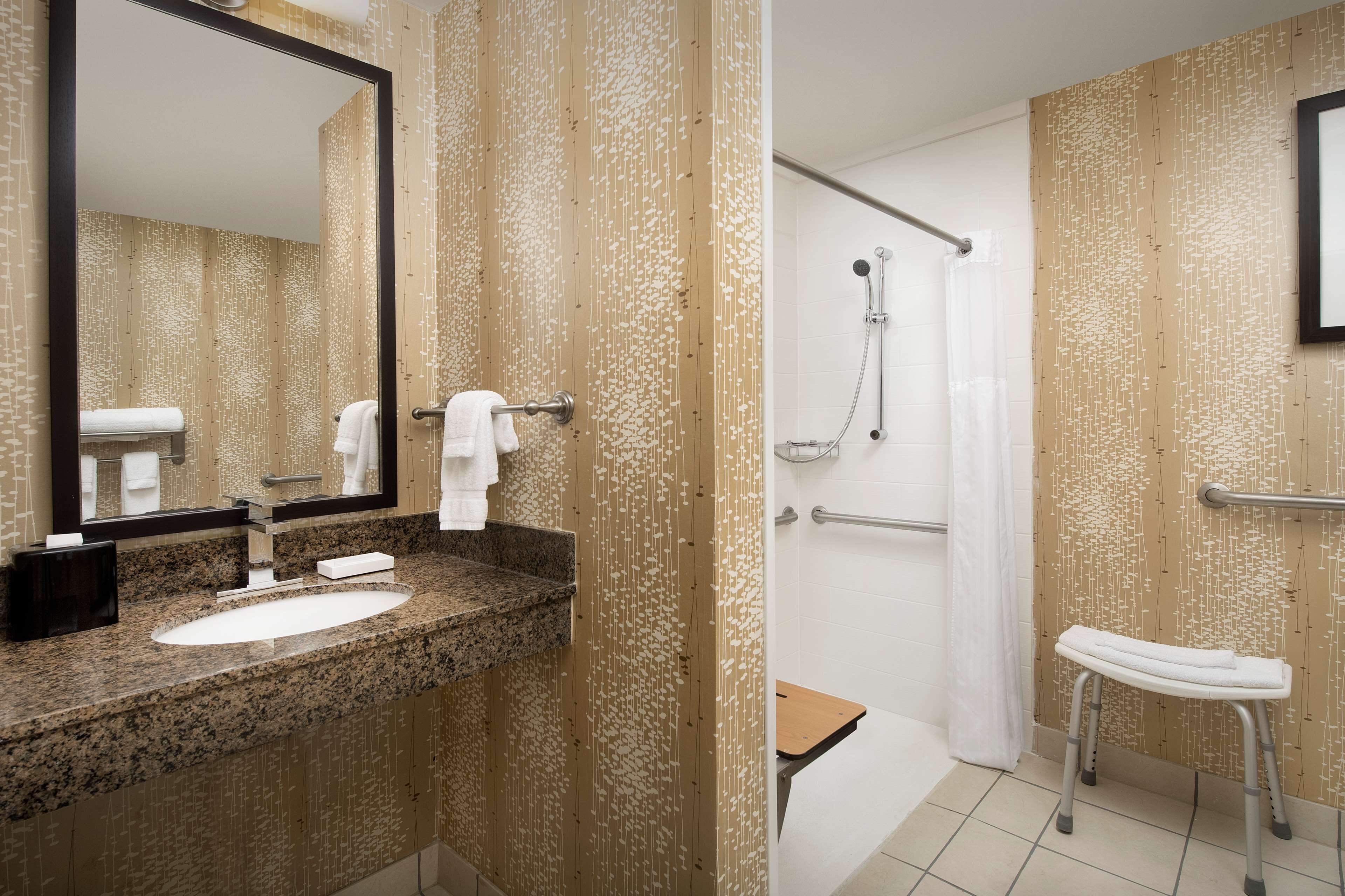 room, 1 king bed, accessible (mobility & hearing, roll-in shower) | bathroom shower