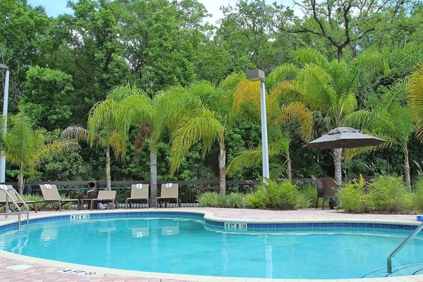 Outdoor pool, sun loungers