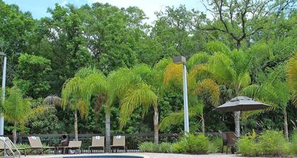 Hampton Inn & Suites Tampa-Wesley Chapel