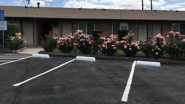 A motel with a parking lot, a sign indicating handicapped parking, and a row of pink and red flowers in front.