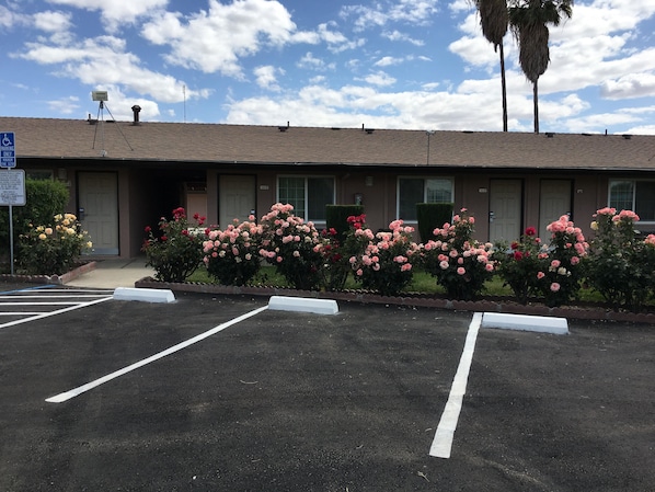 A motel with a parking lot, a sign indicating handicapped parking, and a row of pink and red flowers in front.
