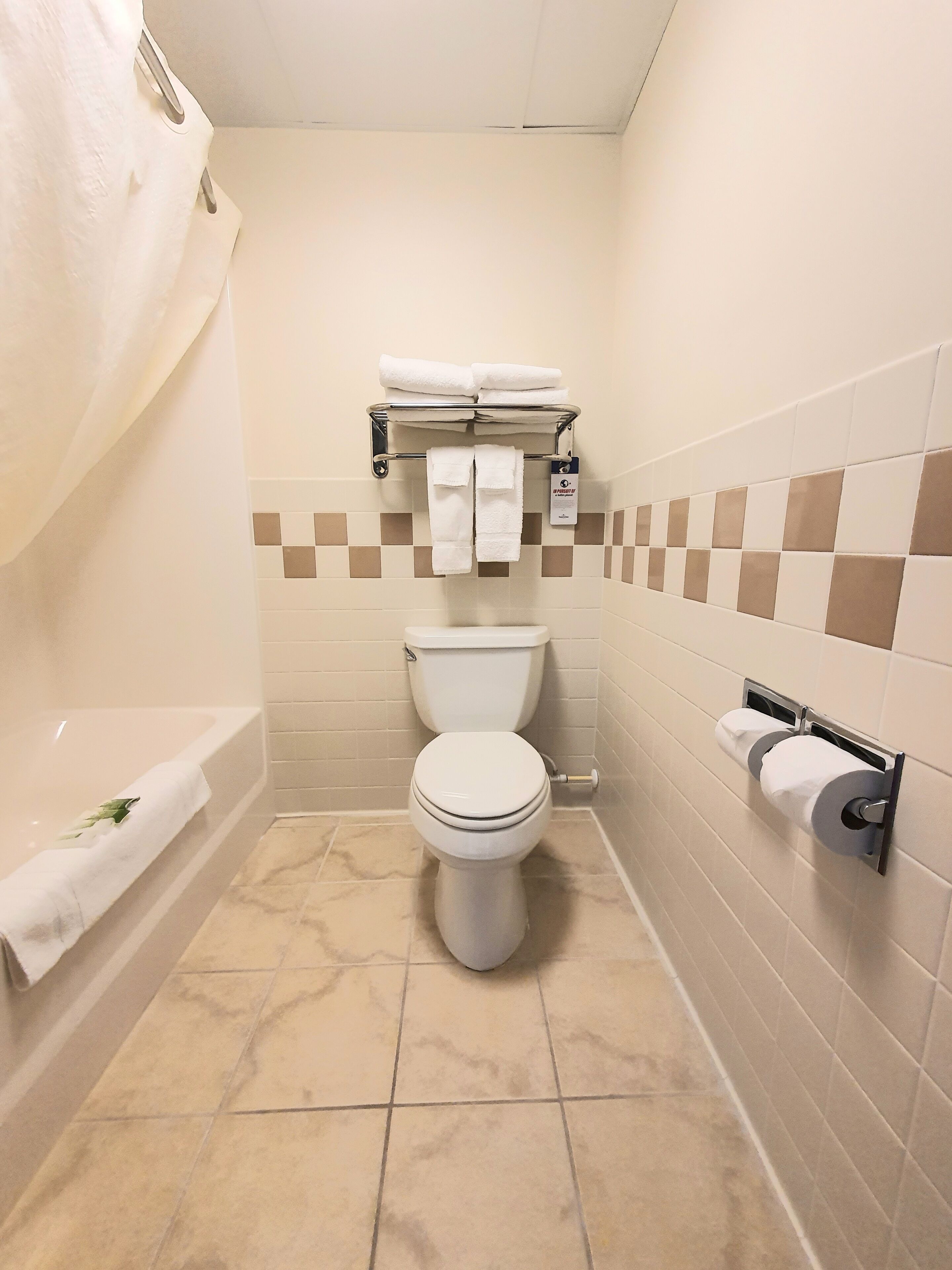 presidential suite, non smoking, ensuite | bathroom | combined shower/bathtub, designer toiletries, hair dryer, towels