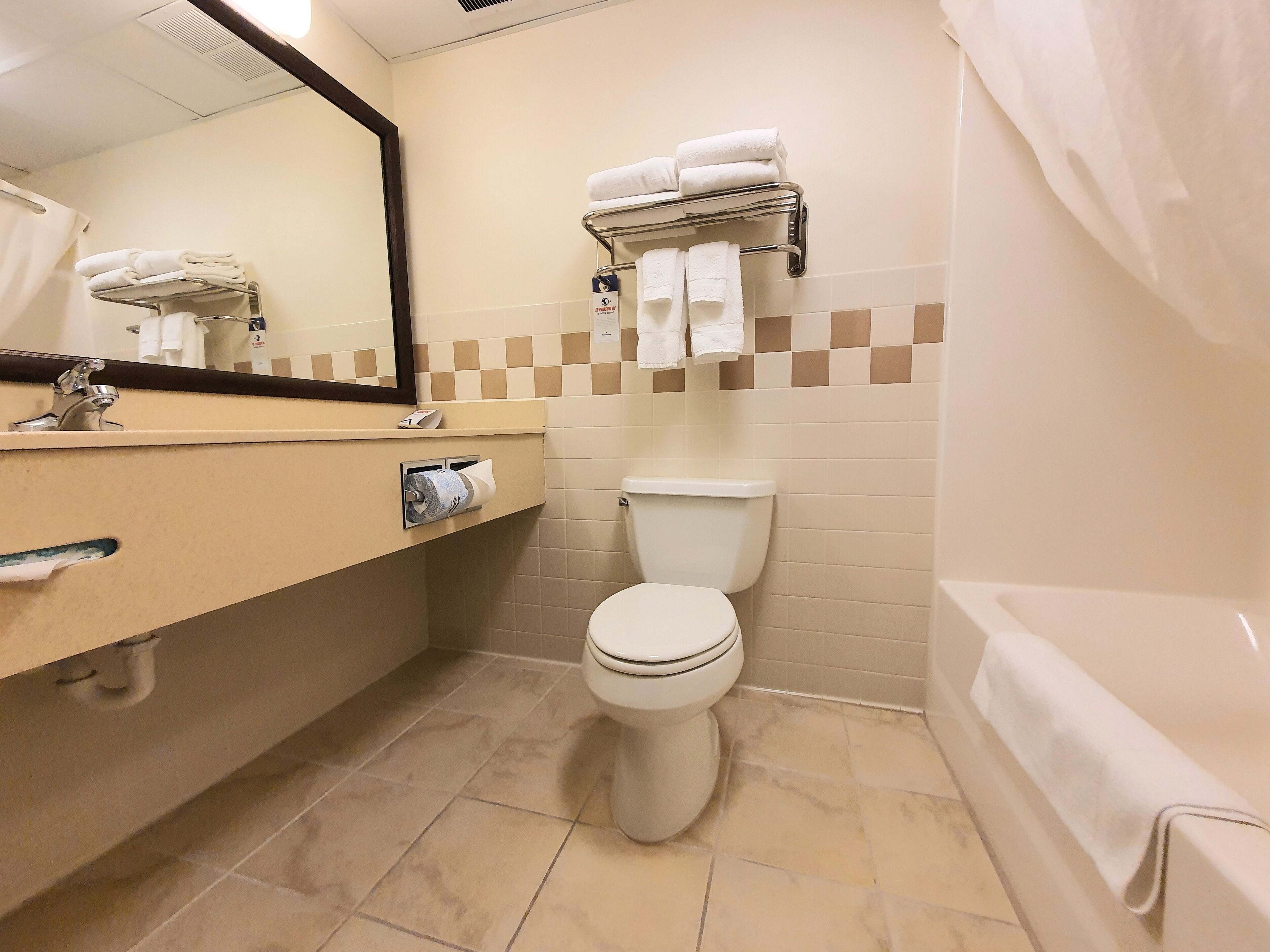 elite room, 1 king bed, accessible, hot tub | bathroom | combined shower/bathtub, designer toiletries, hair dryer, towels