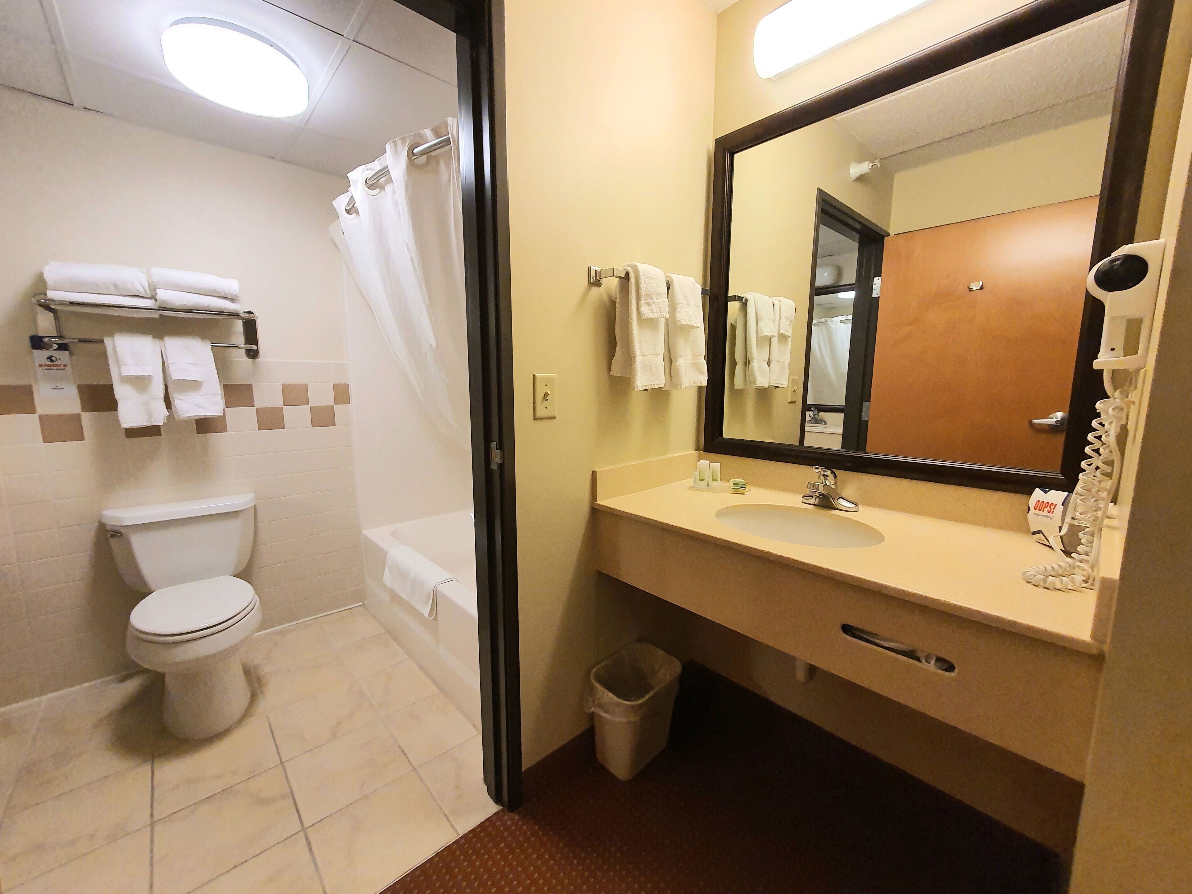 executive room, 2 queen beds, non smoking | bathroom | combined shower/bathtub, designer toiletries, hair dryer, towels