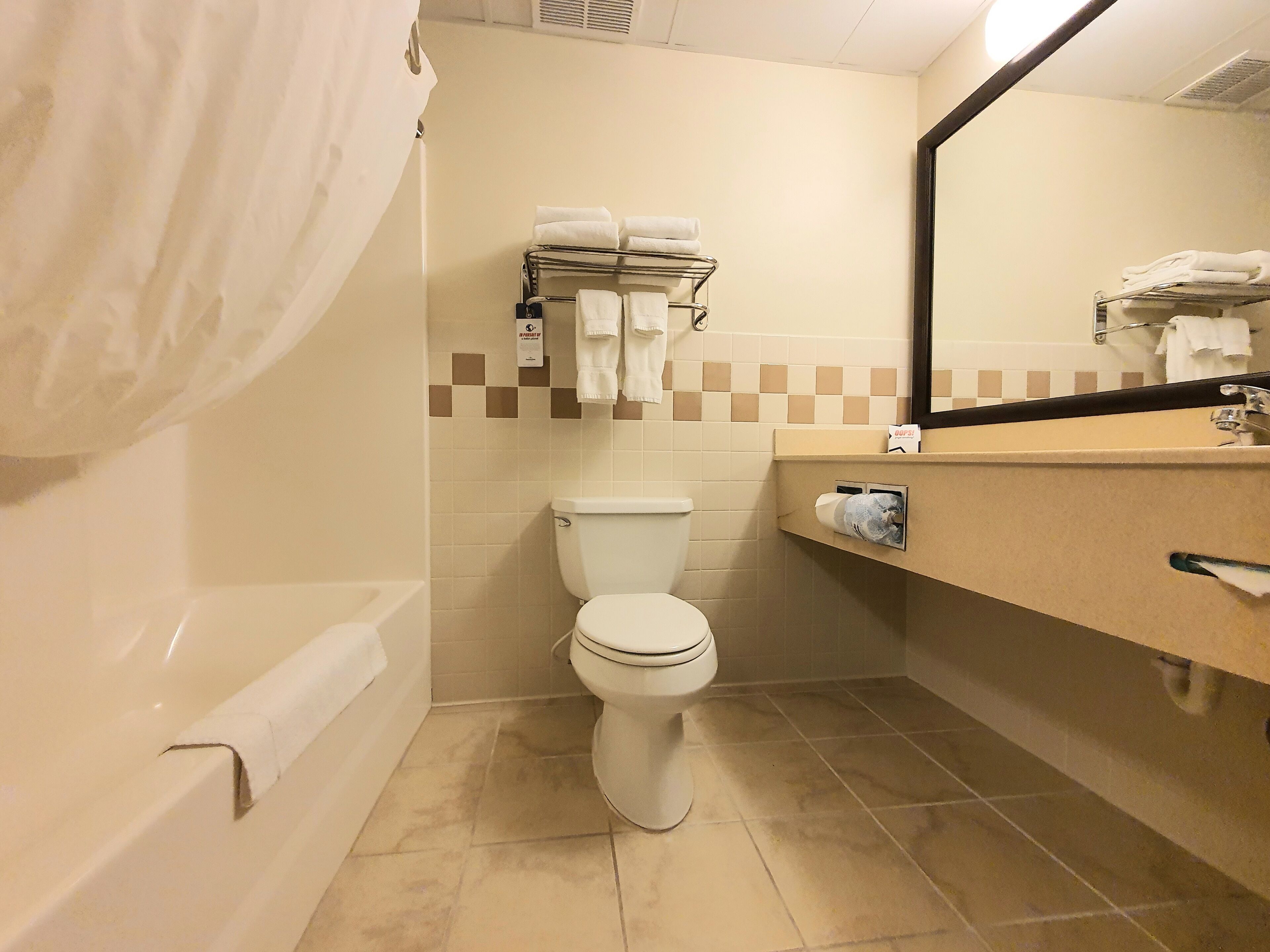 elite room, 1 king bed, jetted tub | bathroom | combined shower/bathtub, designer toiletries, hair dryer, towels