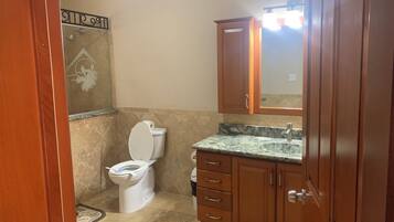 A bathroom with a toilet, sink, vanity, and a shower area.
