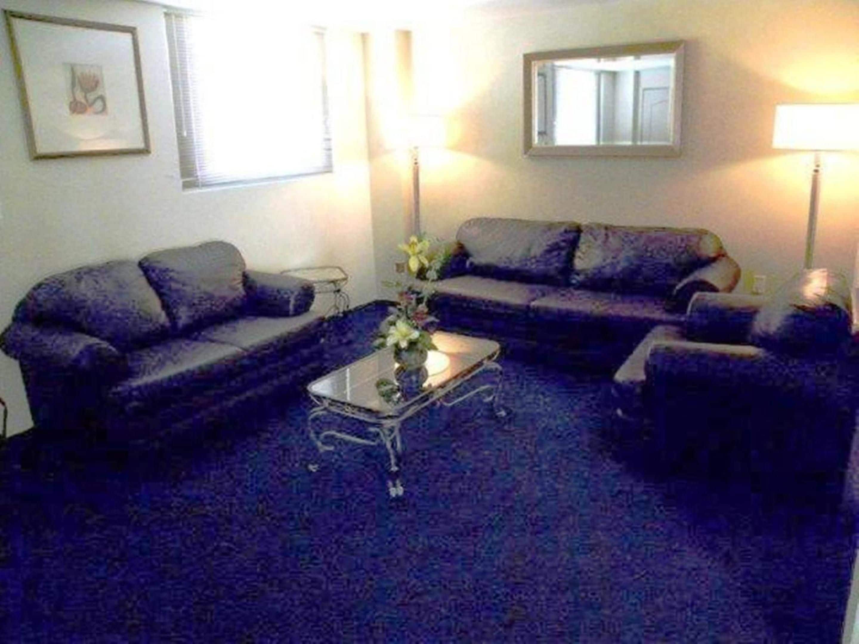 A living room with a blue carpet, two sofas, a coffee table, and a lamp.
