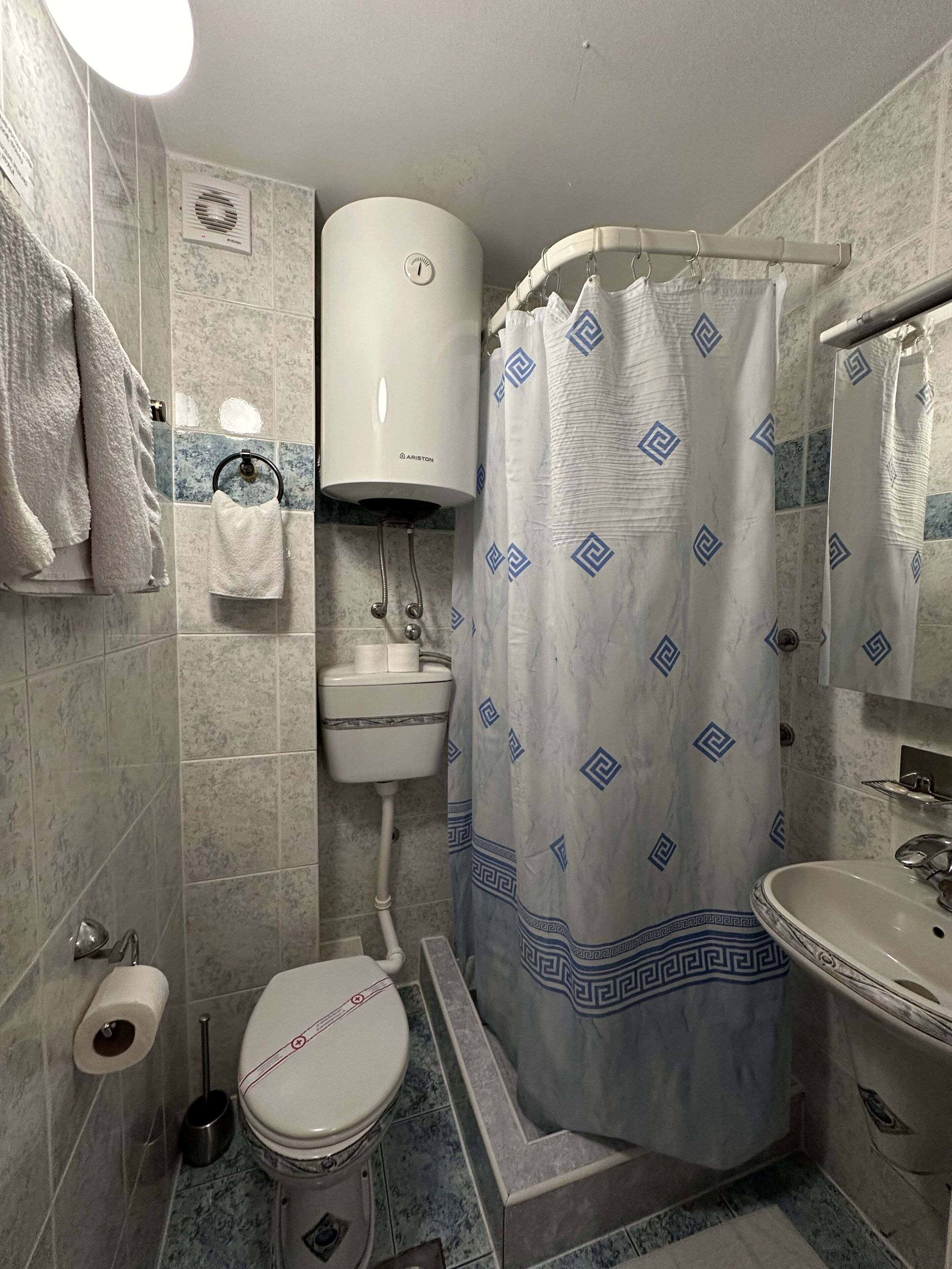 A bathroom with a toilet, sink, and shower curtain.