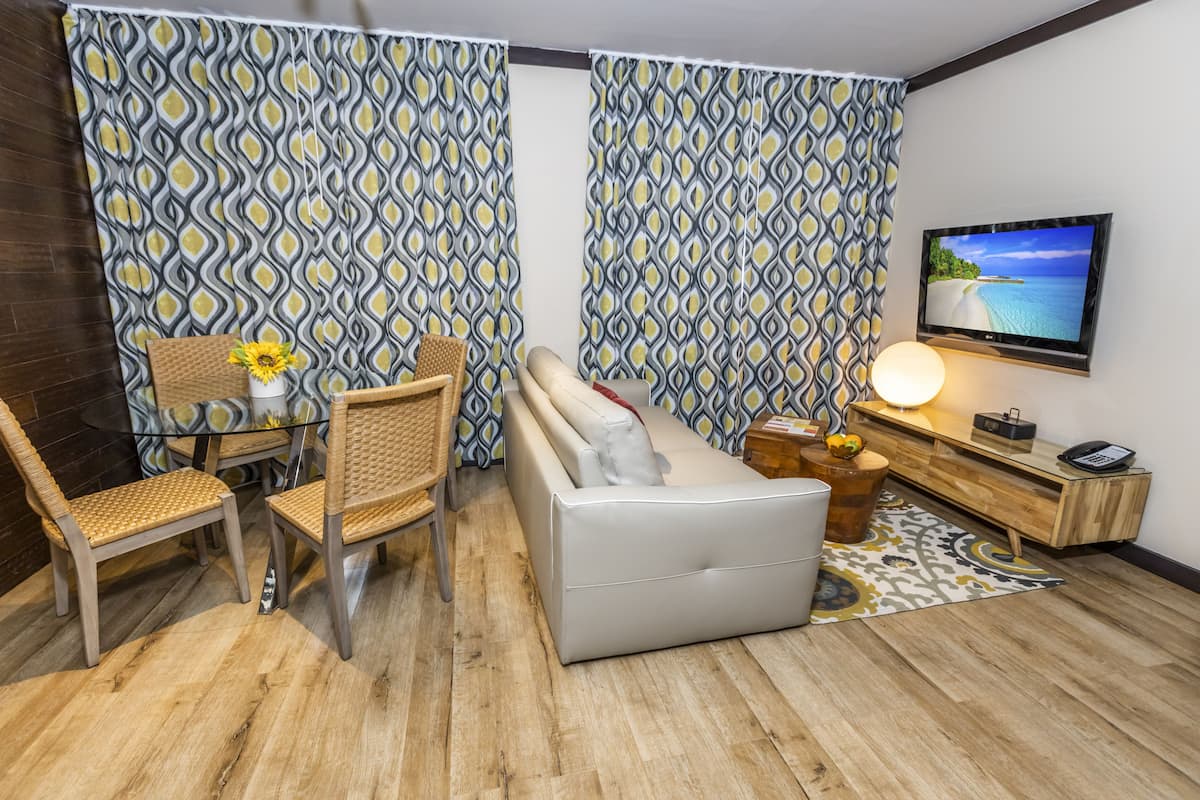 42-inch plasma TV with cable channels, TV, iPod dock