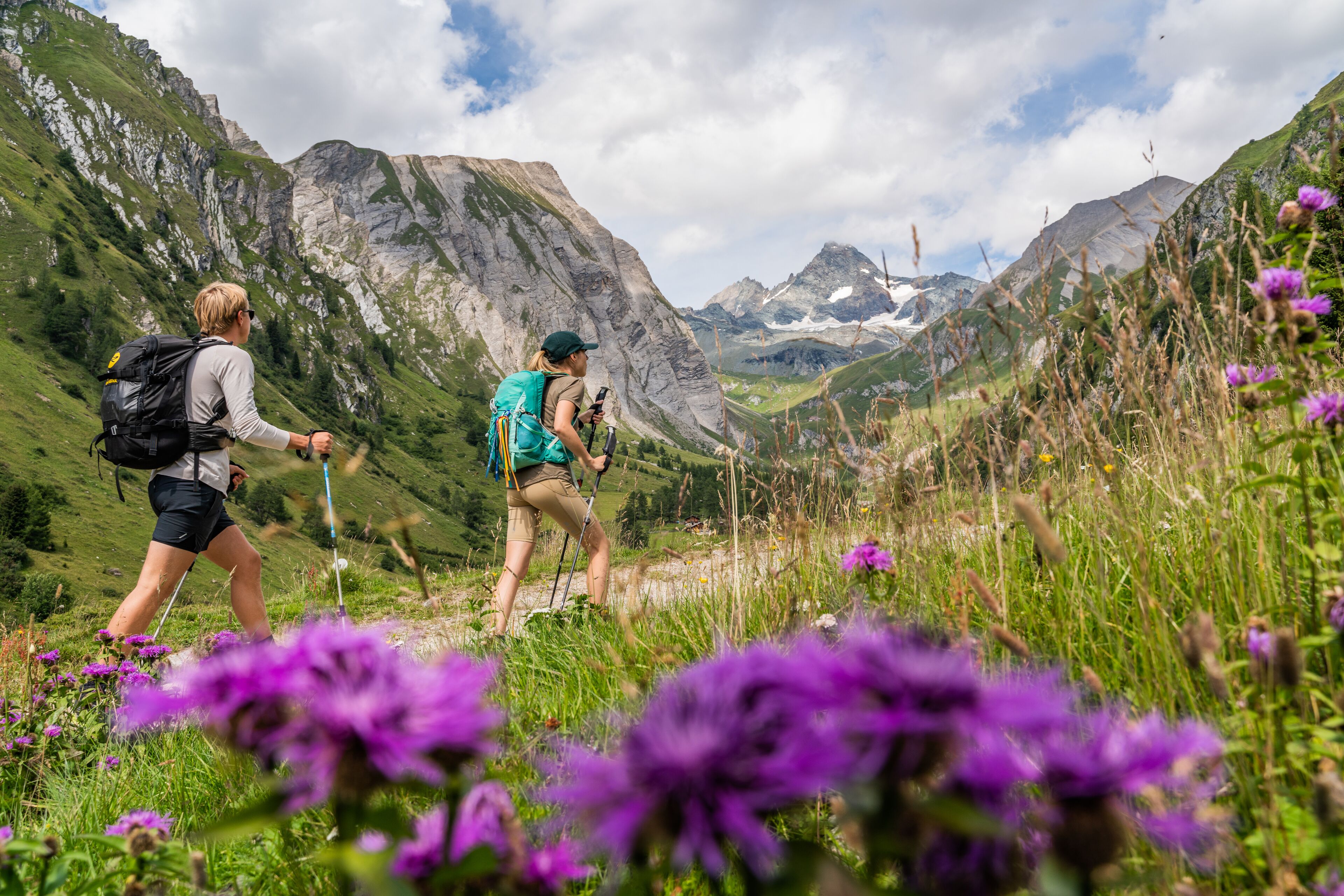 Deux randonneurs dans une région montagneuse, caractérisée par un terrain rocheux et la présence de fleurs sauvages.