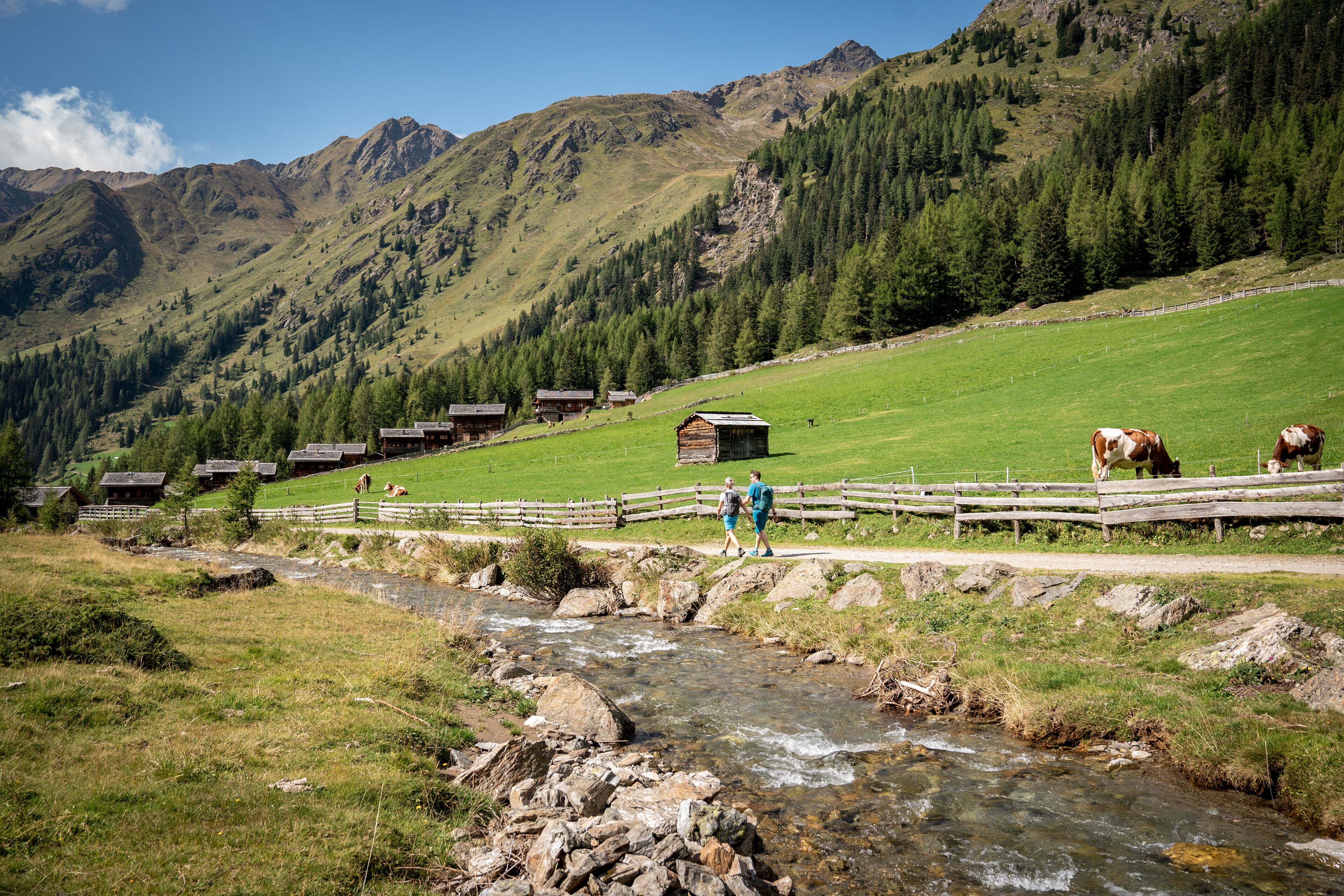 Ländliche Landschaft mit einem Fluss, Holzhäusern und einer Bergkulisse.