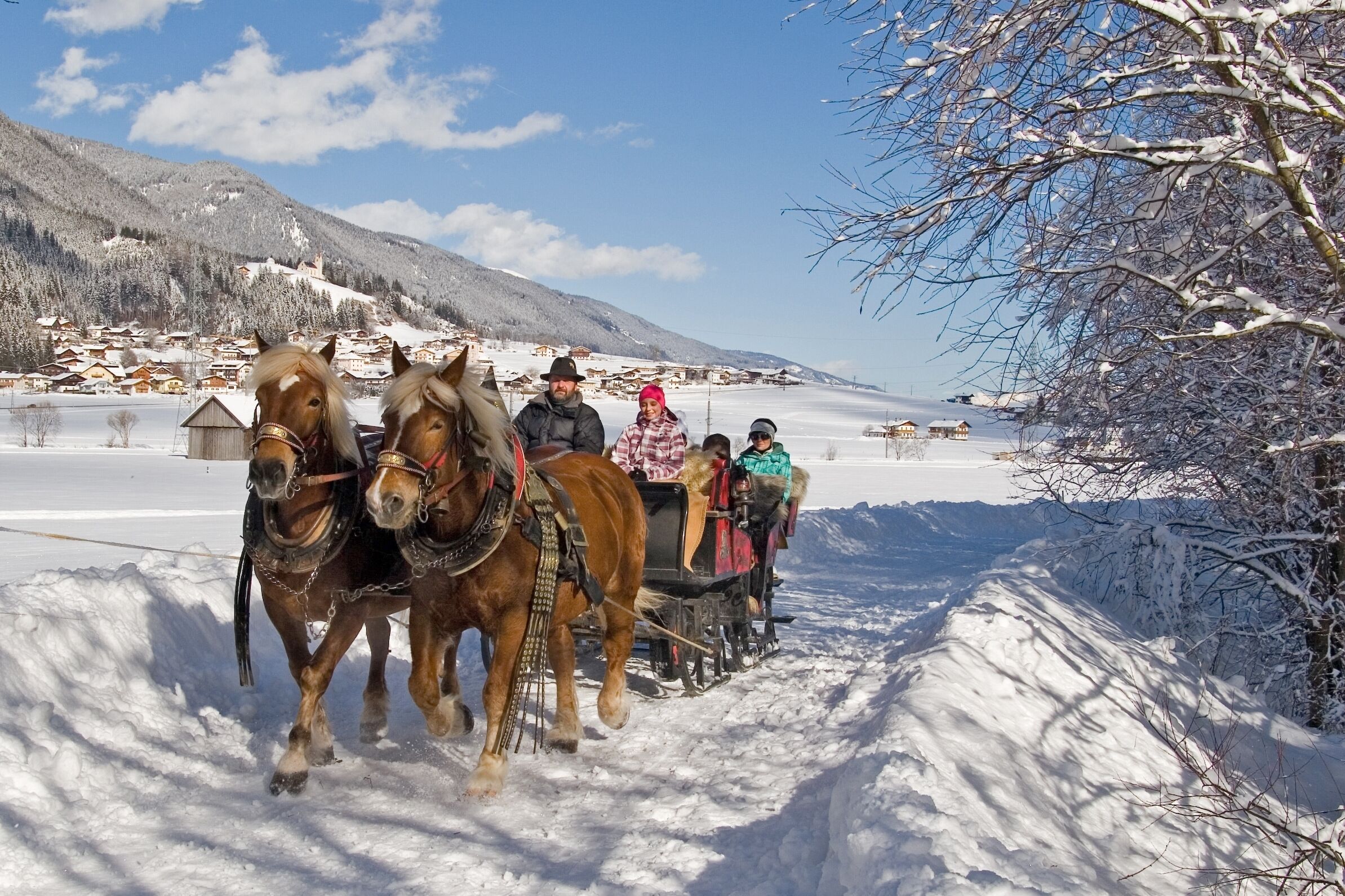 A horse-drawn carriage on a snowy path with a mountainous backdrop.