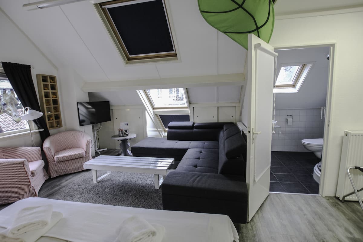 Una habitación compacta y bien iluminada con sofá, sillones, una mesita y una cama. Un tragaluz y una ventana permiten la entrada de luz natural.