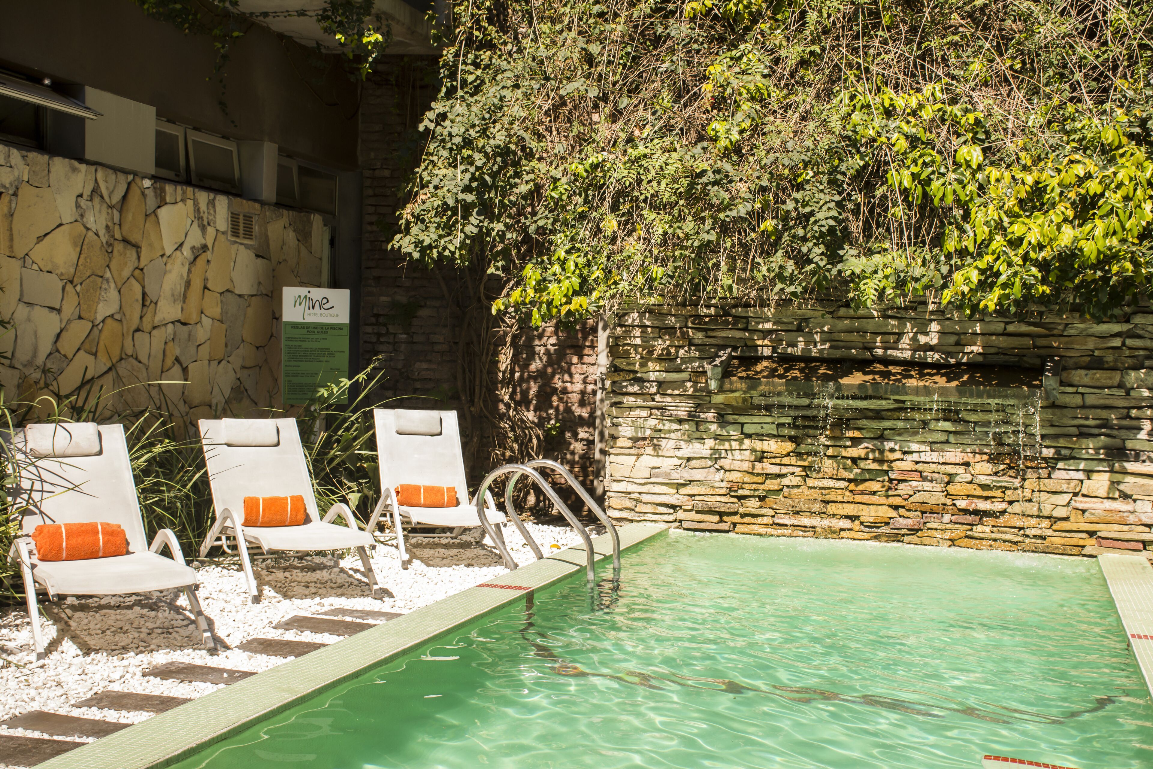 outdoor pool, pool loungers