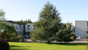 A modern building with a flat roof, surrounded by a well-maintained lawn and a large evergreen tree.