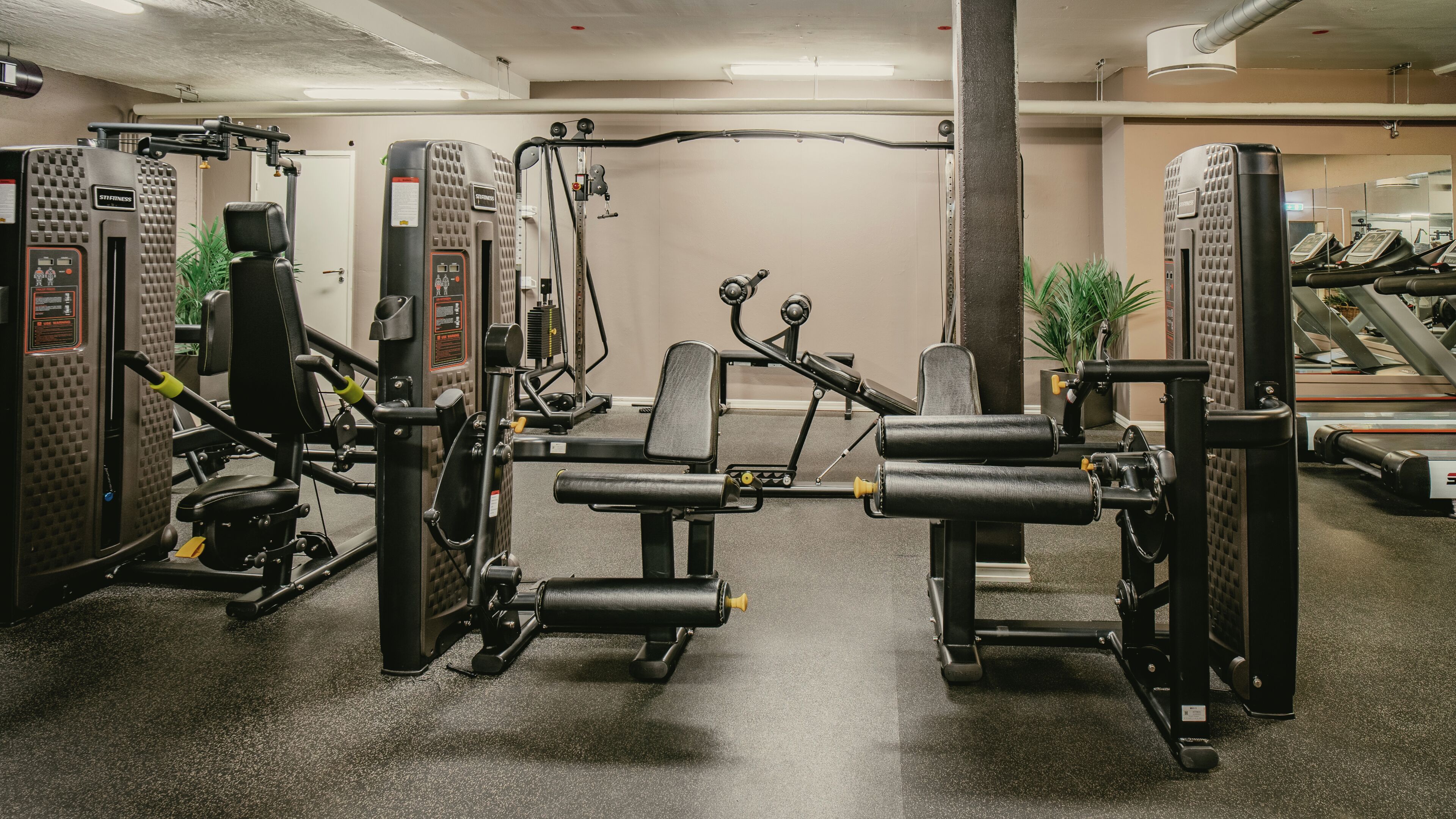 A gym with various exercise machines, a mirrored wall, and a plant.
