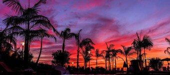 Hotel Solea, Autograph Collection