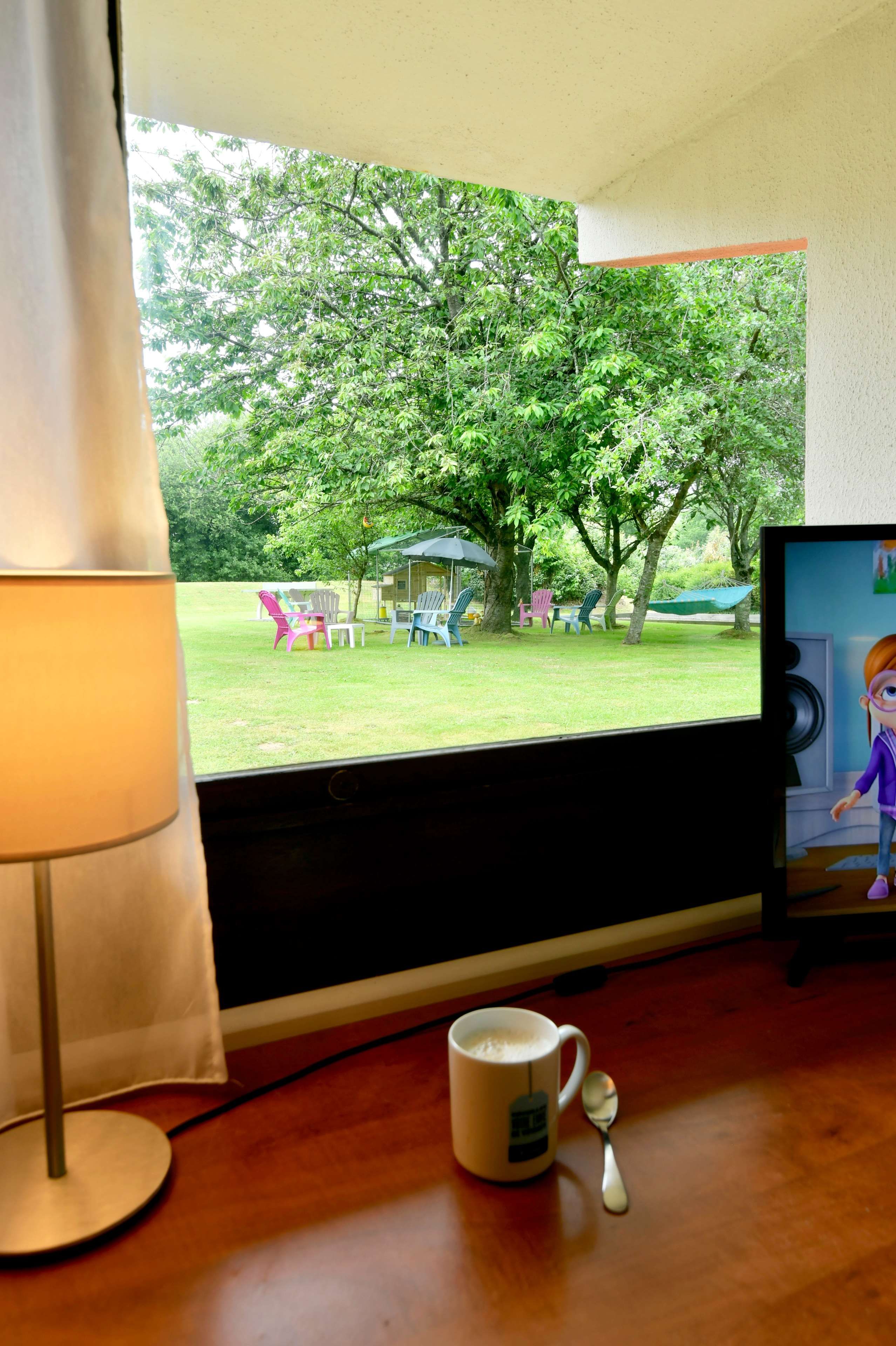 A room with a window overlooking a grassy area with trees and outdoor furniture.