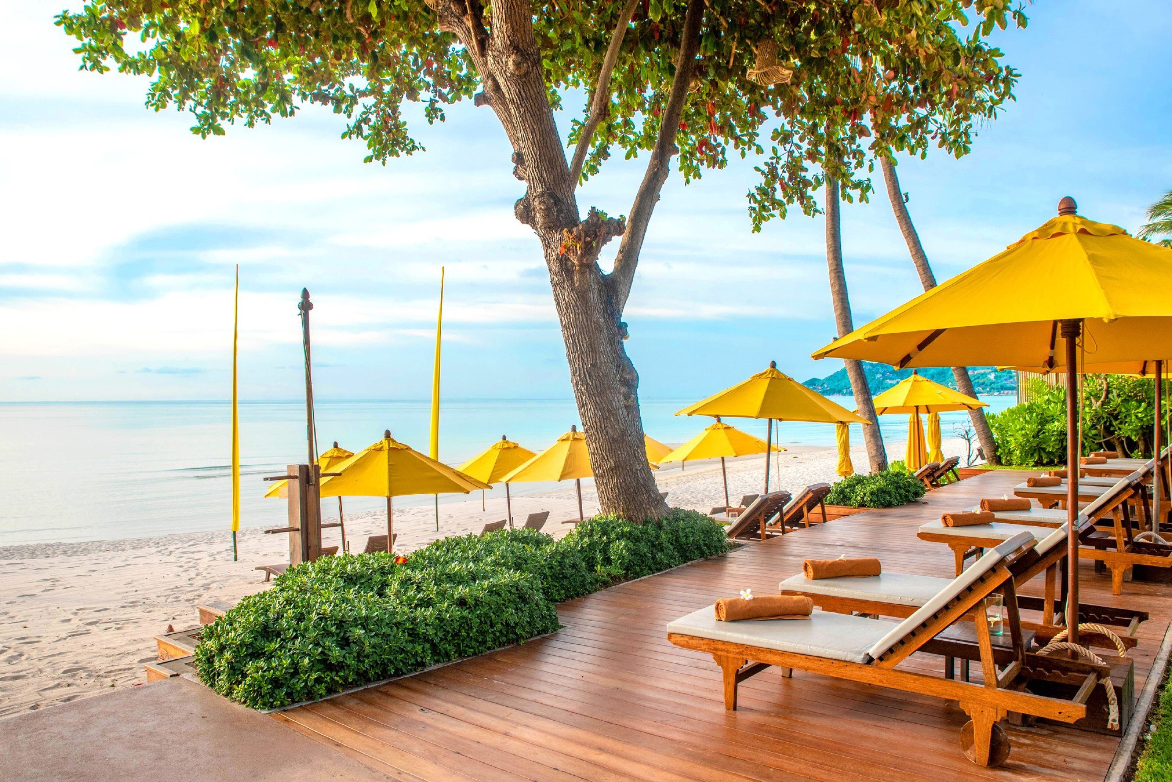 A wooden deck with sun loungers and yellow umbrellas overlooking a beach.