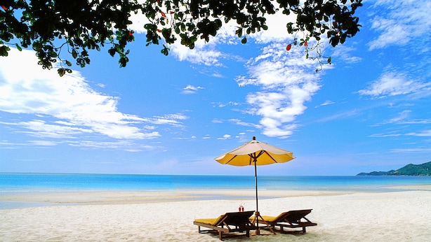 A beach with two sun loungers and a yellow umbrella under a tree. - Buri Rasa Village Samui Adults Only (Koh Samui)