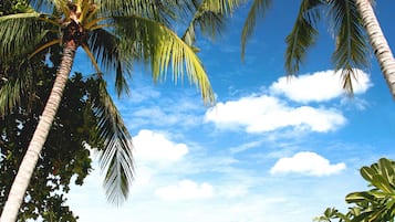 Na praia, guarda-sóis, toalhas de praia, bar na praia 