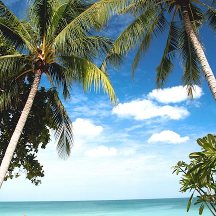On the beach, beach umbrellas, beach towels, beach bar