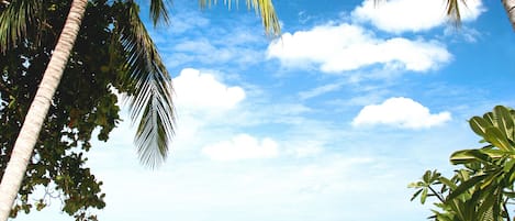 Am Strand, Sonnenschirme, Strandtücher, Strandbar