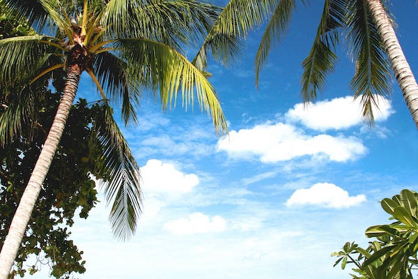 On the beach, beach umbrellas, beach towels, beach bar