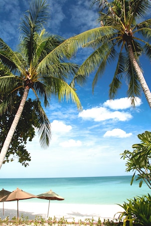 On the beach, beach umbrellas, beach towels, beach bar