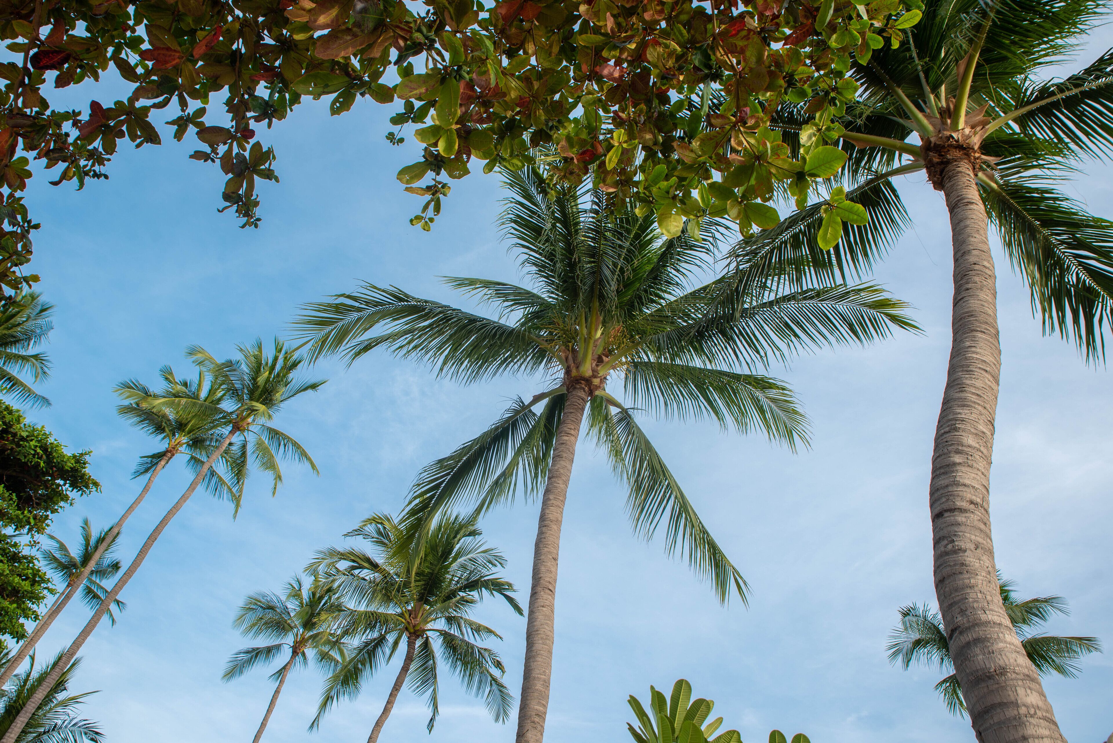 boutique deluxe studio | view from room