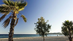 Ein Strand mit Palmen und blauem Himmel.