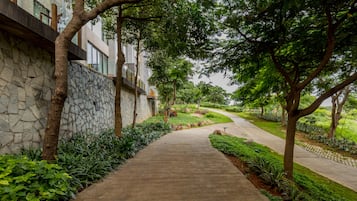 A pathway flanked by stone walls and lush greenery, leading to a building with large windows.