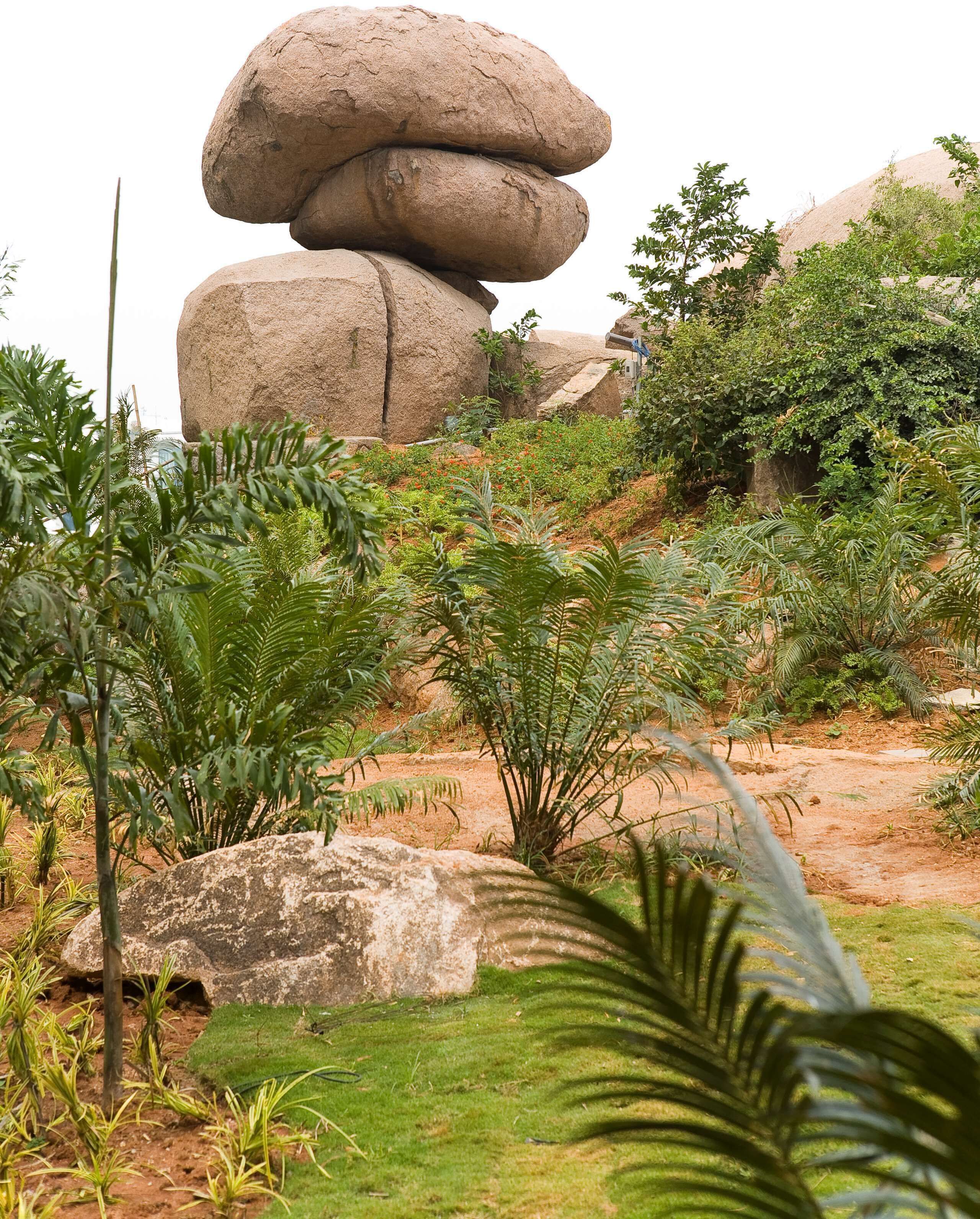 Un paisaje natural con grandes rocas y exuberante vegetación.