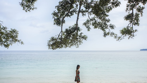 Ein Strand mit einer Person, Bäumen und ruhigem Meer.