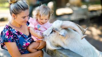 Eine Person hält ein Kind neben einer Ziege in einem Tiergehege.