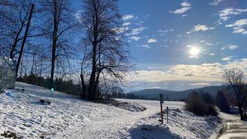 A snowy landscape with bare trees and a clear sky.