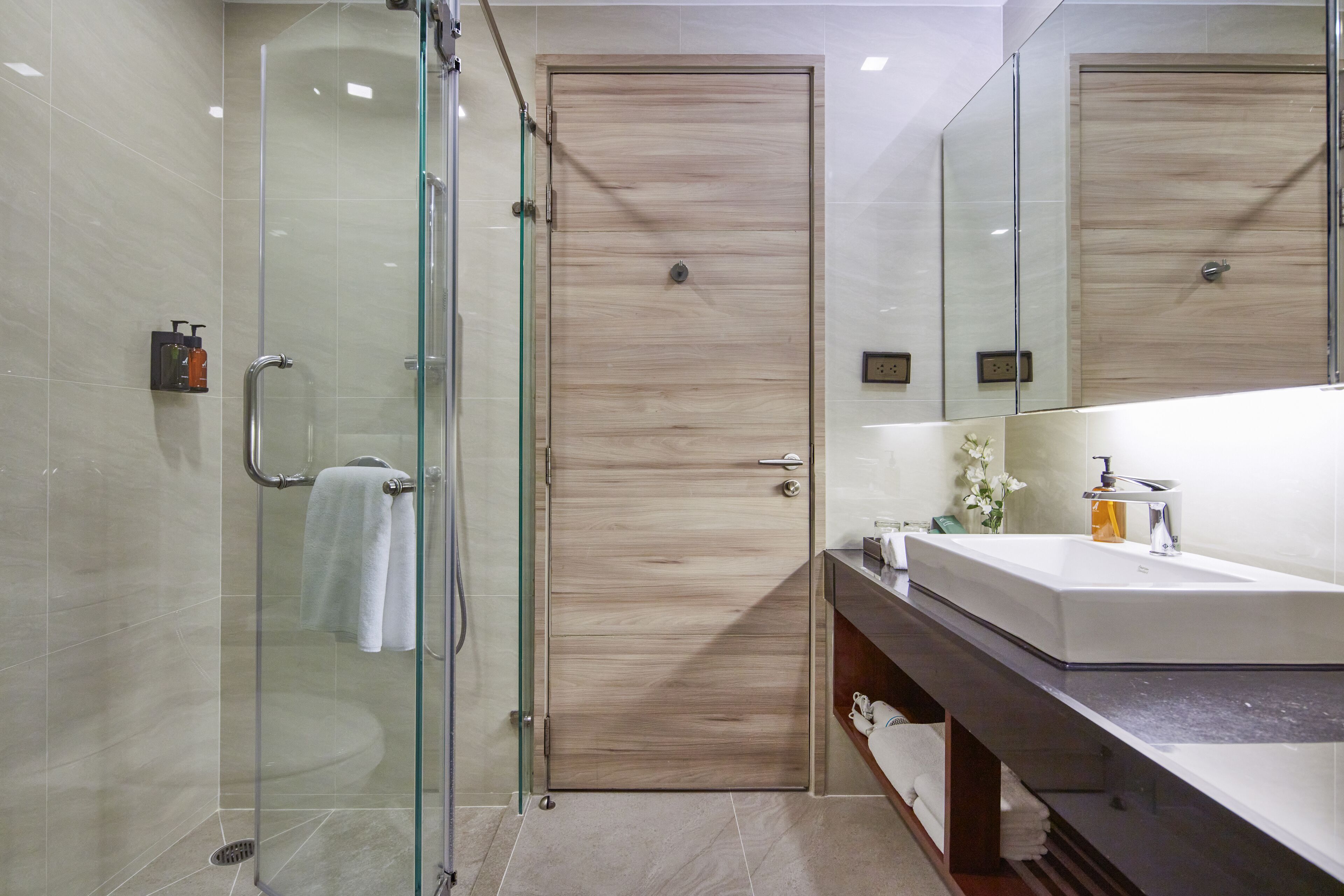 one bedroom suite | bathroom shower