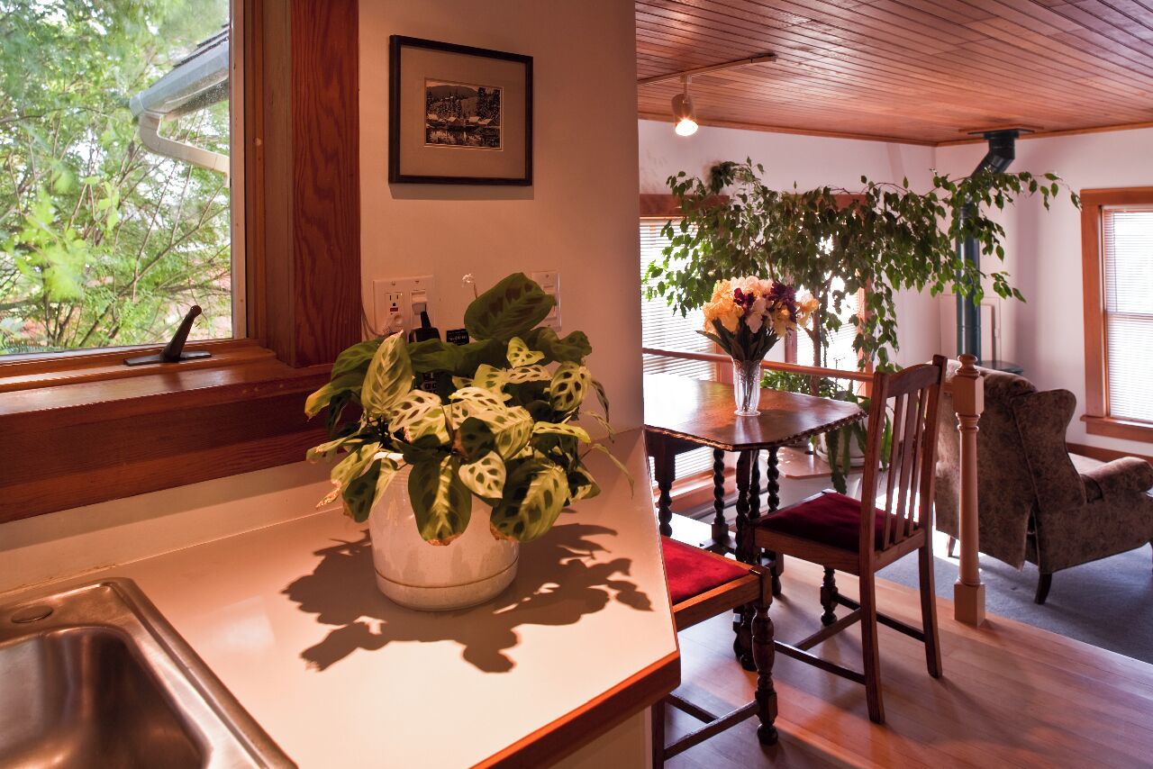 A kitchen with a sink, a potted plant, a dining table with chairs, and a chair in the living area.