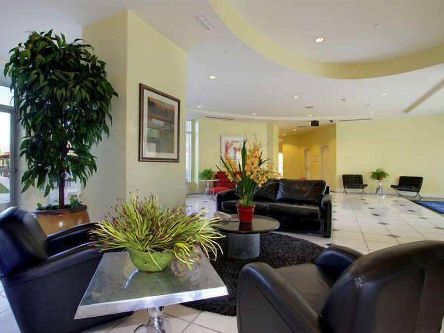 A modern lobby with a large plant, comfortable seating, and a framed picture on the wall.